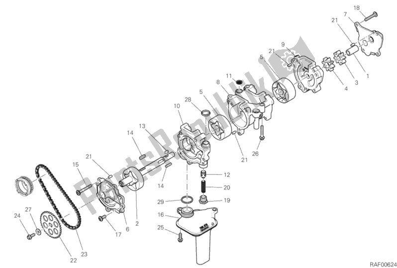 All parts for the Oil Pump of the Ducati Superbike Panigale V4 S USA 1100 2019